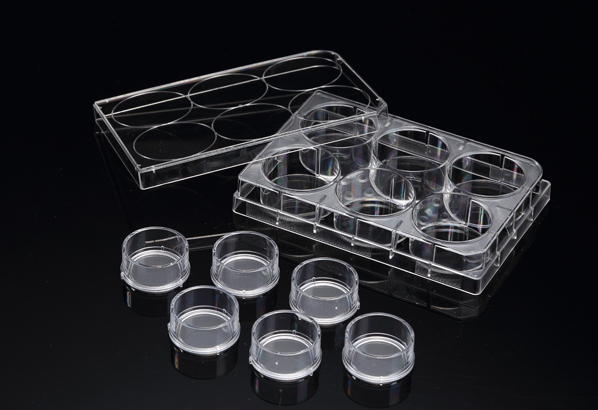 SPLInsert™ Standing 培養盤, 6 Inserts/6 well plate, PC, 0.4μm, Growth Area 4.06㎠, 2~6ml, Opaque, Sterile   36506      和更多型號 - 商品圖 2